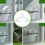Window Bird Feeder Acrylic Suction Cups & Removable Tray