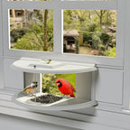 Window Bird Feeder Clear Non-Reflective Tool-Free Setup