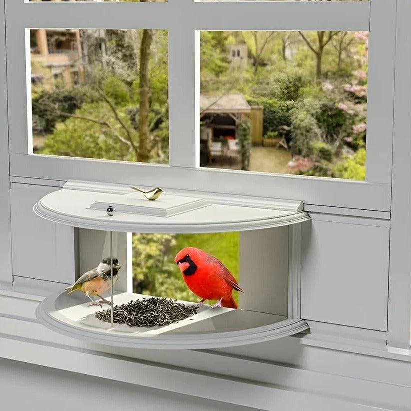 Window Bird Feeder Clear Non-Reflective Tool-Free Setup