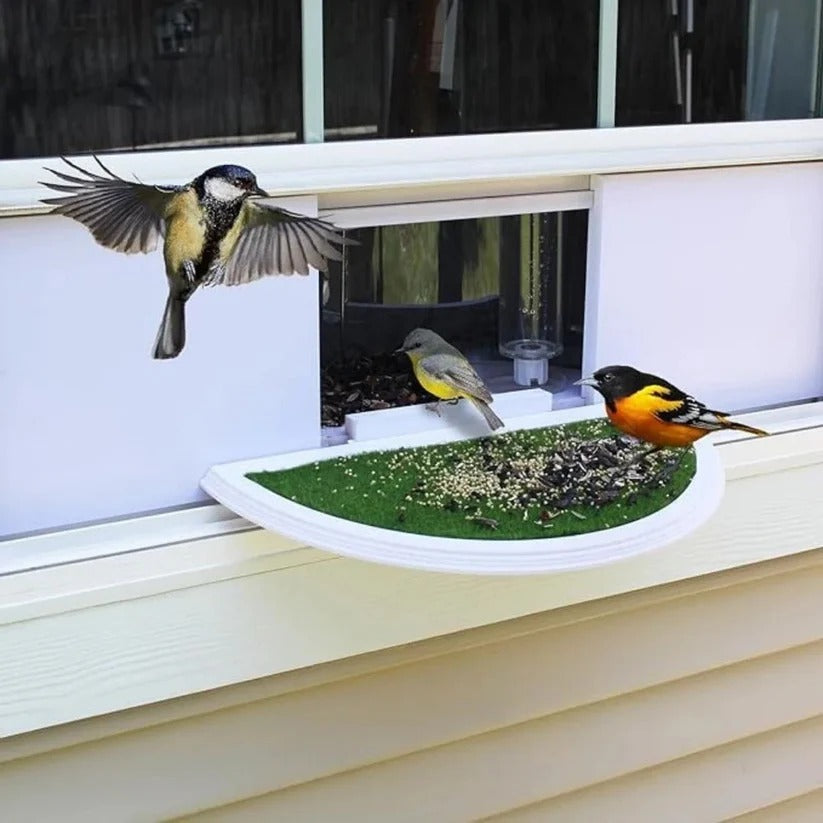 Window Bird Feeder Clear Non-Reflective Tool-Free Setup