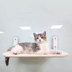 Window Cat Hammock Foldable Suction Cups Supports 33 lb