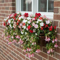 Window Flower Box Flat-Back Reinforced Metal & Stainless Steel Brackets