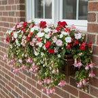 Window Flower Box Flat-Back Reinforced Metal & Stainless Steel Brackets