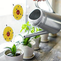 Window Insect Traps Transparent Non-Toxic Set of Six
