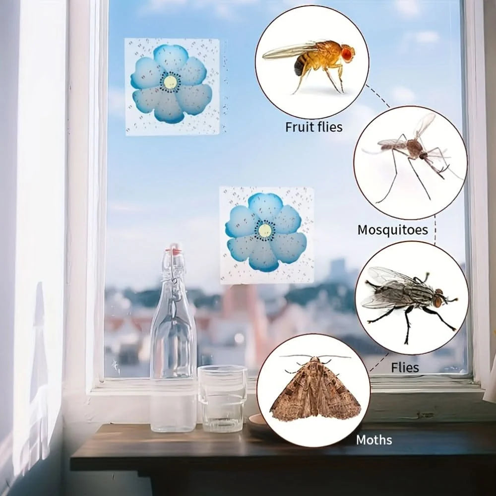 Window Insect Traps Transparent Non-Toxic Set of Six
