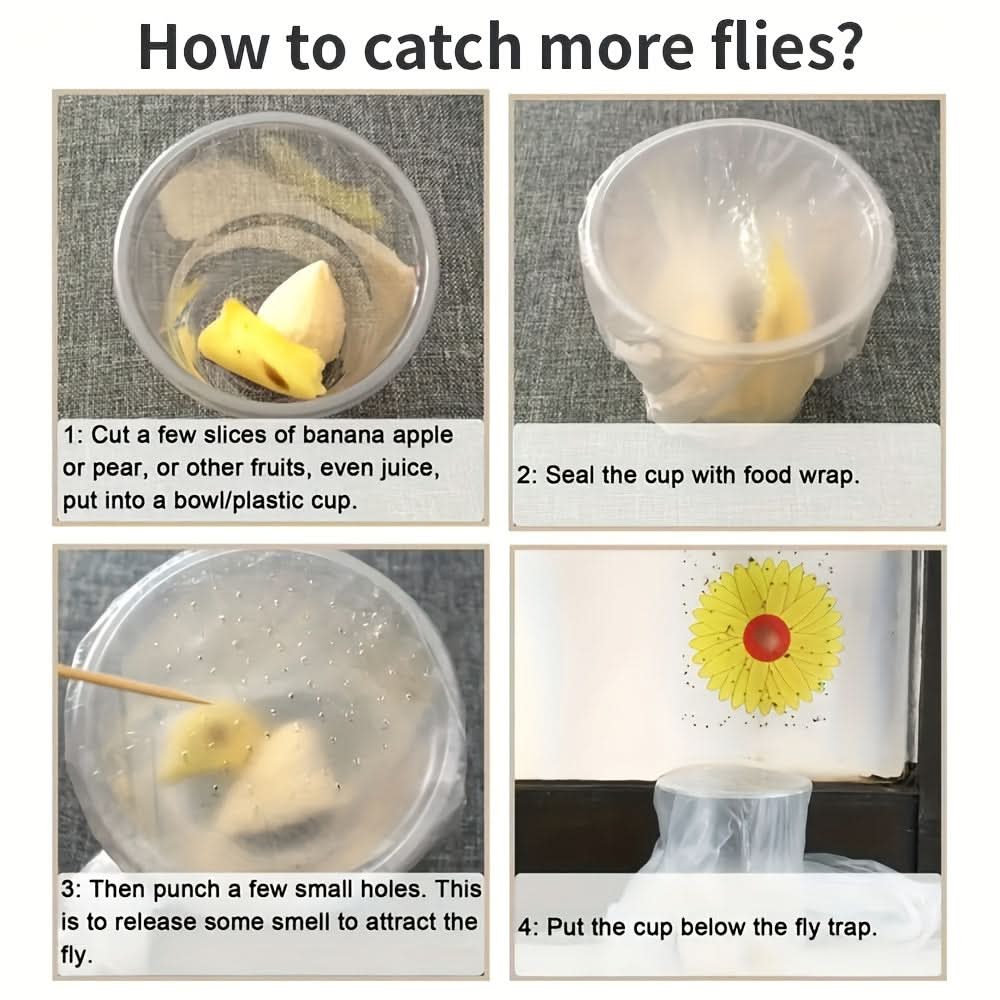 Window Insect Traps Transparent Non-Toxic Set of Six