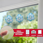 Window Insect Traps Transparent Non-Toxic Set of Six