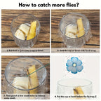 Window Insect Traps Transparent Non-Toxic Set of Six