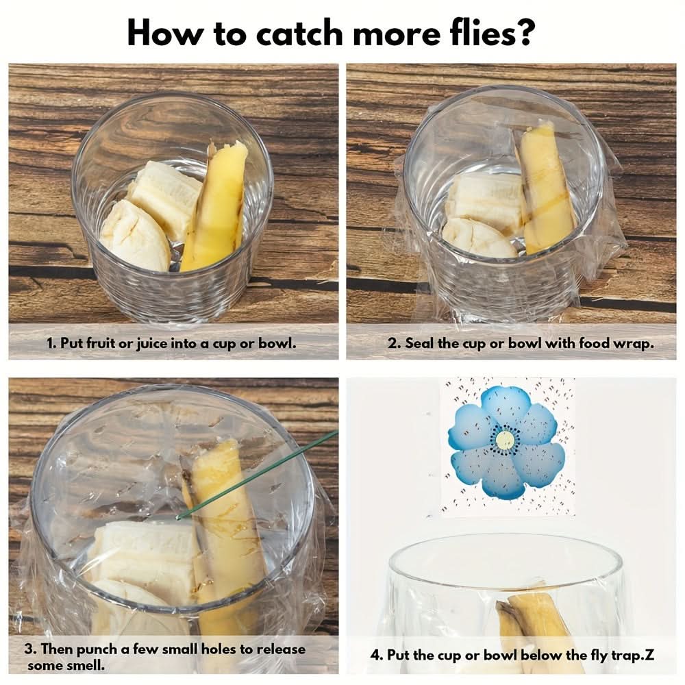 Window Insect Traps Transparent Non-Toxic Set of Six