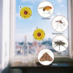 Window Insect Traps Transparent Non-Toxic Set of Six