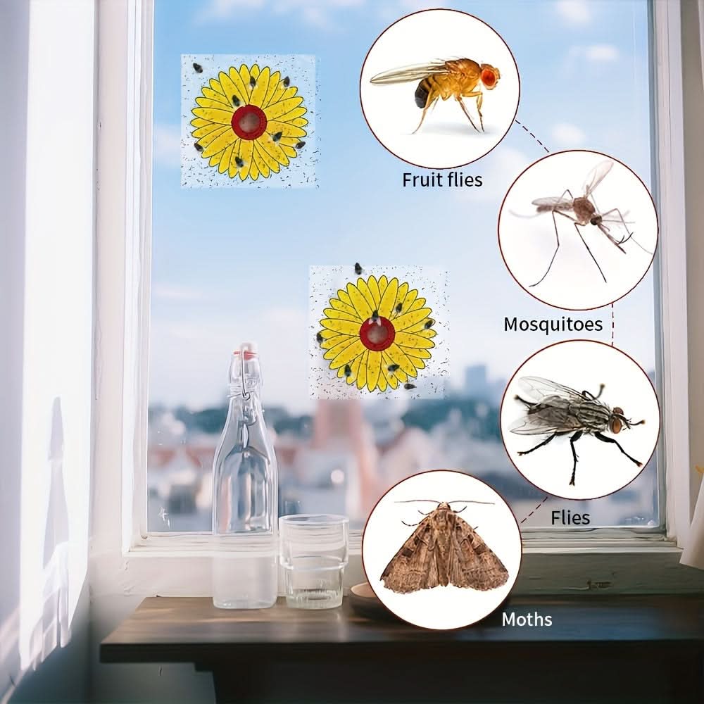 Window Insect Traps Transparent Non-Toxic Set of Six