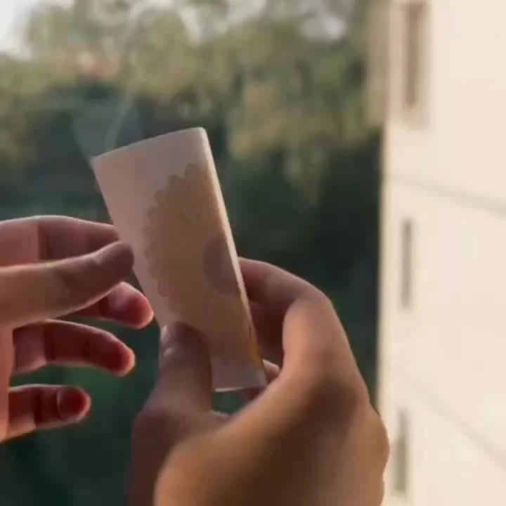 Window Insect Traps Transparent Non-Toxic Set of Six
