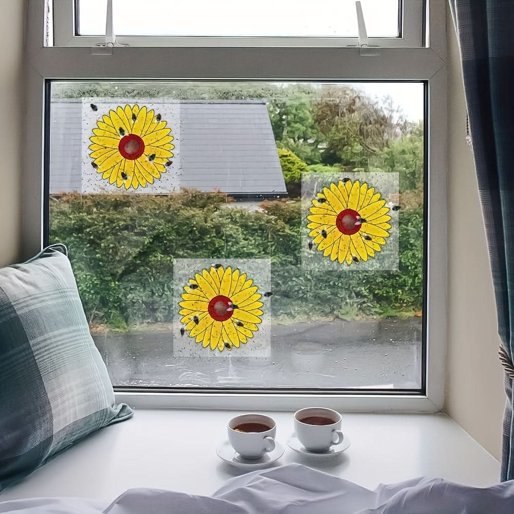 Window Insect Traps Transparent Non-Toxic Set of Six