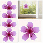 Window Insect Traps Transparent Non-Toxic Set of Six