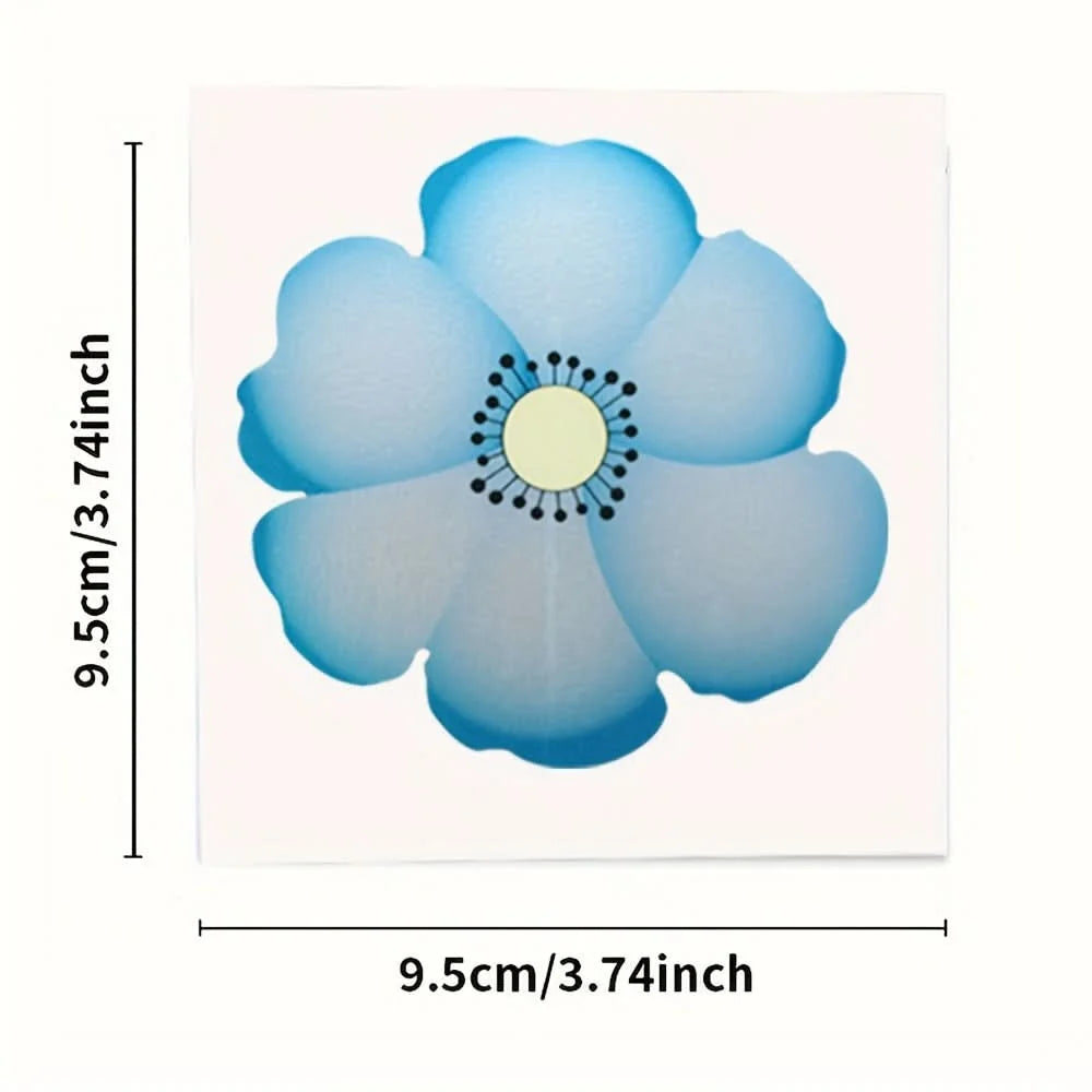 Window Insect Traps Transparent Non-Toxic Set of Six