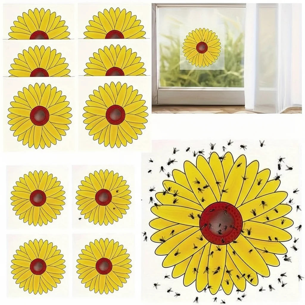 Window Insect Traps Transparent Non-Toxic Set of Six