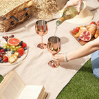 Wine Glasses Set Stainless Steel Chill-Enhancing Set of 6