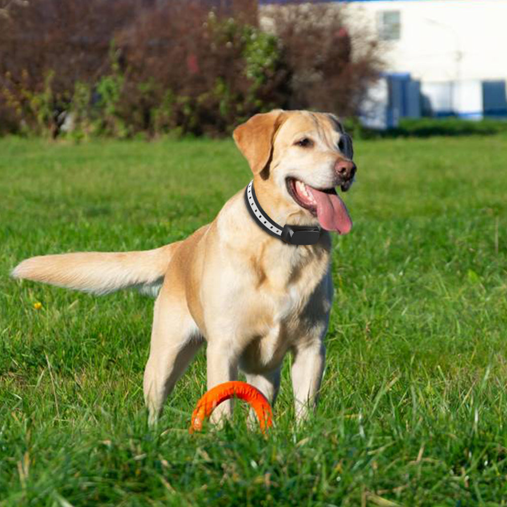 Wireless Dog Fence Adjustable & Expandable Weatherproof Collar