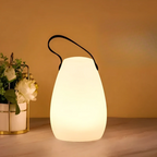 Wireless & Waterproof Multi-Color Table Lamp (USB Rechargeable)
