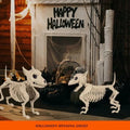 Wolf Skeleton Decoration Realistic Weatherproof & Lightweight