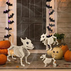 Wolf Skeleton Decoration Realistic Weatherproof & Lightweight