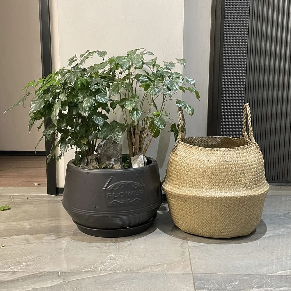 Woven Storage Basket Handwoven Seagrass Foldable