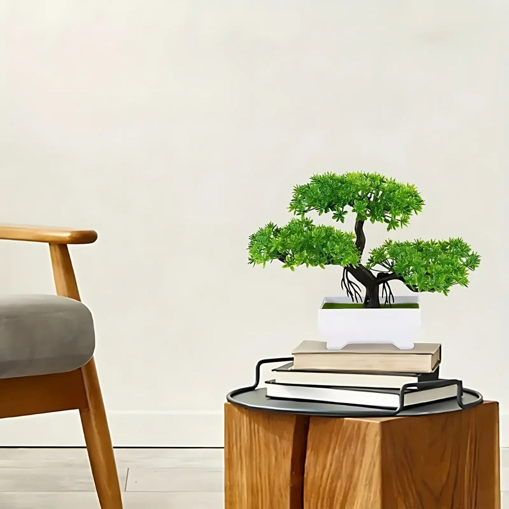 Zero-Maintenance Realistic Mini Bonsai Tree (Desk Decor)