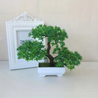 Zero-Maintenance Realistic Mini Bonsai Tree (Desk Decor)