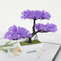 Zero-Maintenance Realistic Mini Bonsai Tree (Desk Decor)