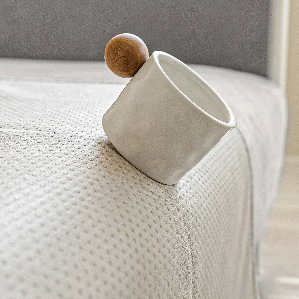 Eco-Friendly Sofa Cover for Scratch Protection