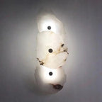 Modern LED Wall Sconce in Organic Shape – Decorative Lighting Fixture