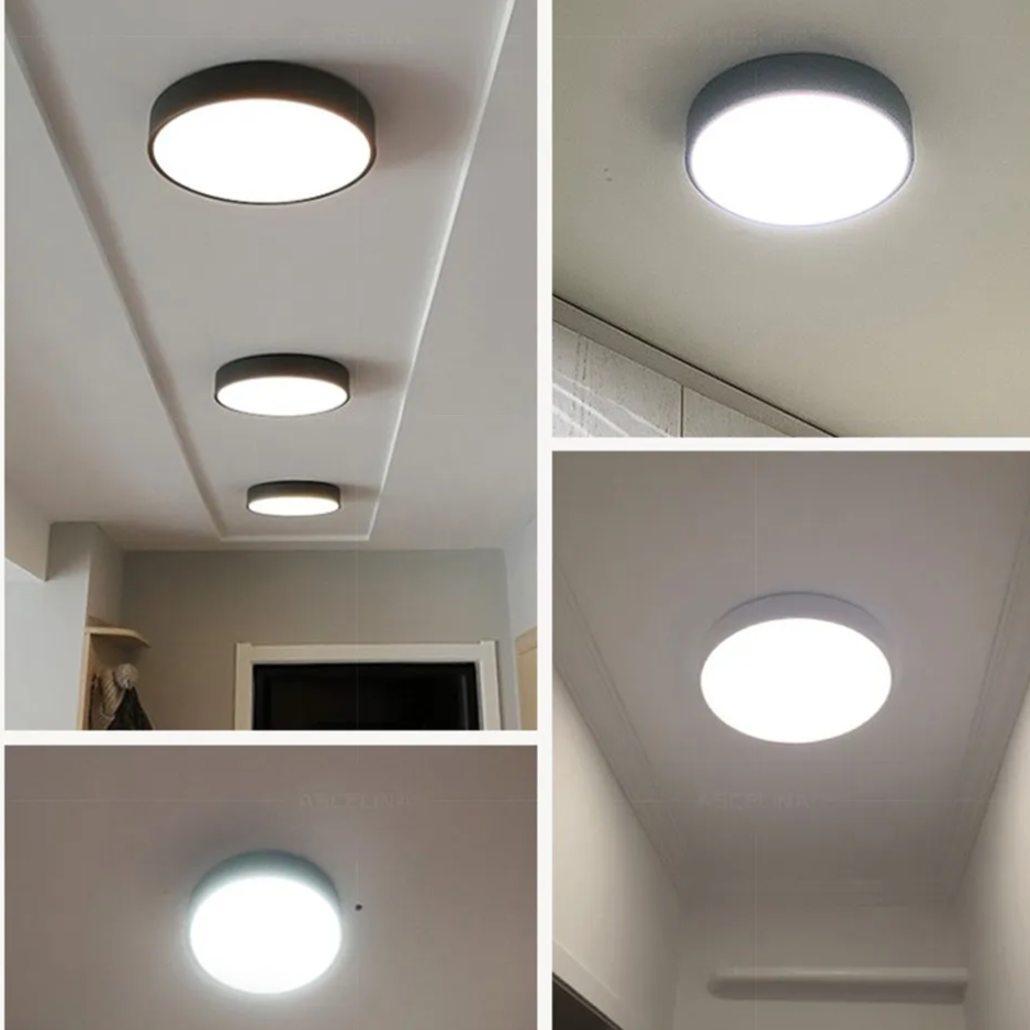 Metal Framed Round Ceiling Light with LED Illumination