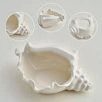 Coastal Charm Shell Decor for Your Home