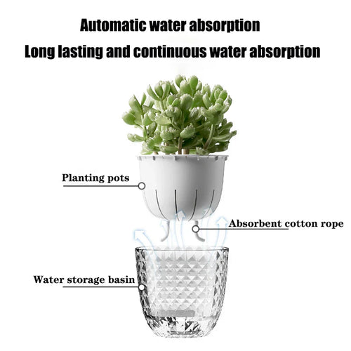 AquaBloom Intelligent Self-Watering Planter