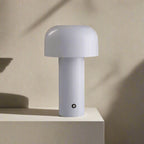 Metal Shade Rechargeable LED Desk Light