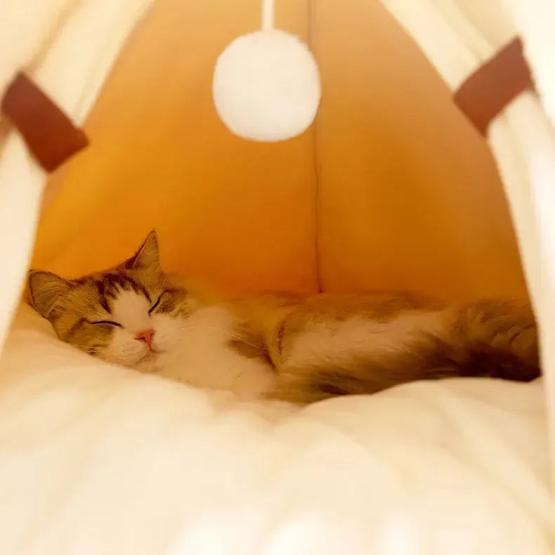 Cozy Haven Tent Cat Bed with Plush Padding and Memory Foam Support