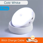 Smart Rechargeable Motion-Activated Night Illumination