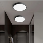 Metal Framed Round Ceiling Light with LED Illumination