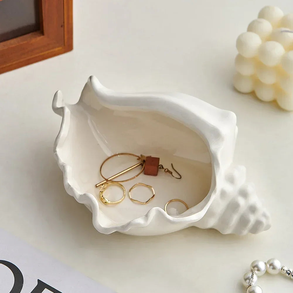 Coastal Charm Shell Decor for Your Home