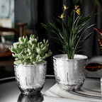 AquaBloom Intelligent Self-Watering Planter