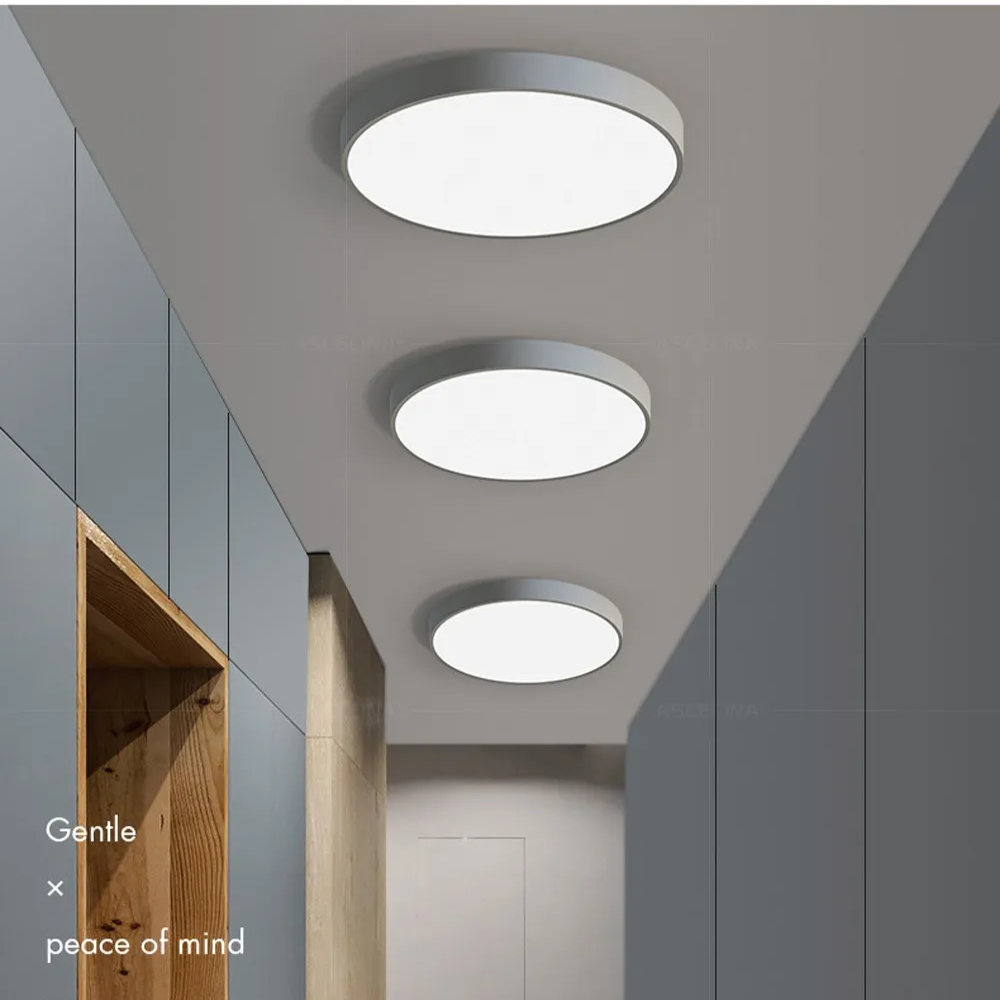 Metal Framed Round Ceiling Light with LED Illumination