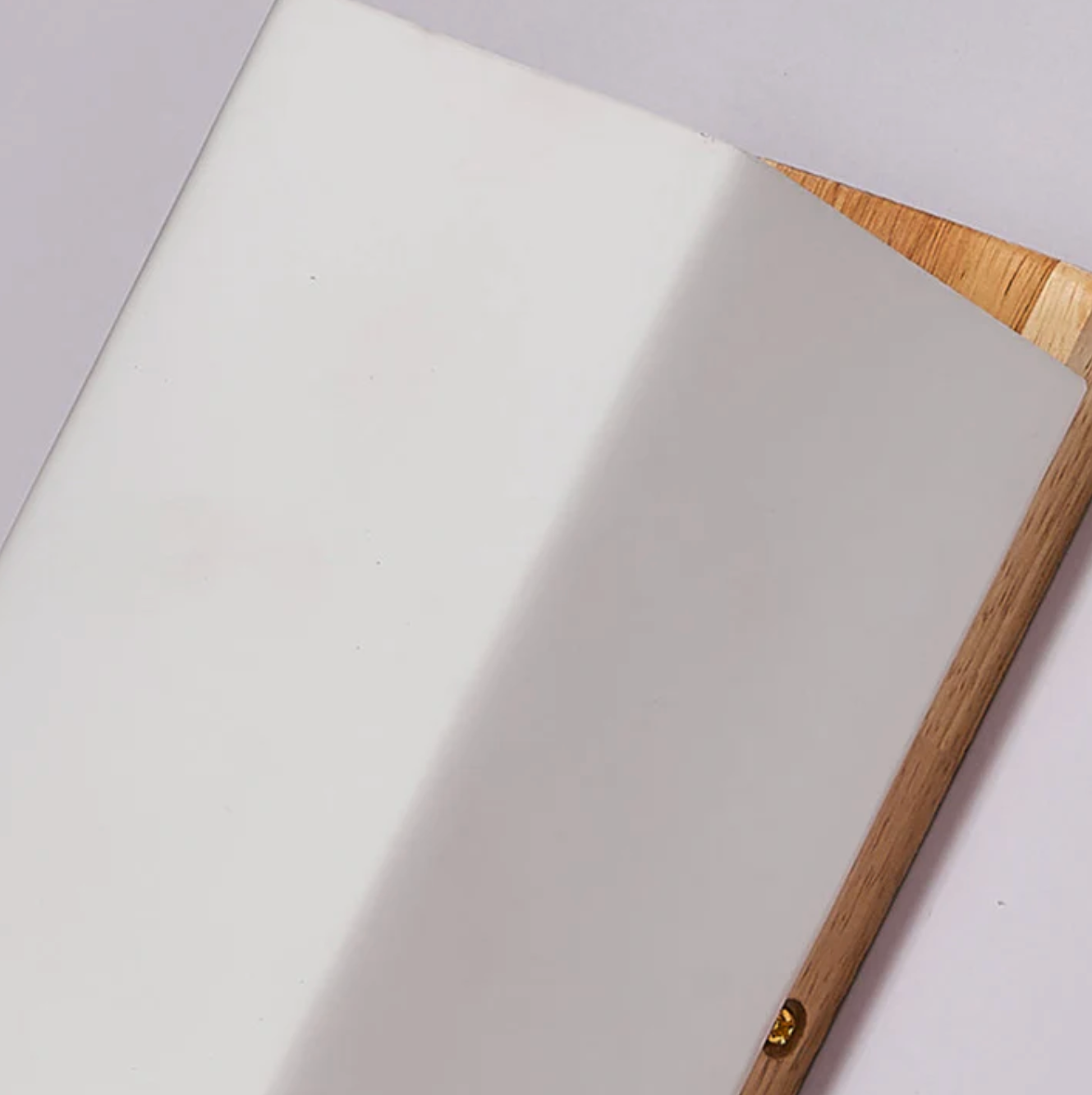 Contemporary Wall Sconce with Frosted Shade for Wood Interiors