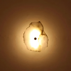 Modern LED Wall Sconce in Organic Shape – Decorative Lighting Fixture