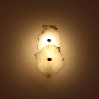 Modern LED Wall Sconce in Organic Shape – Decorative Lighting Fixture