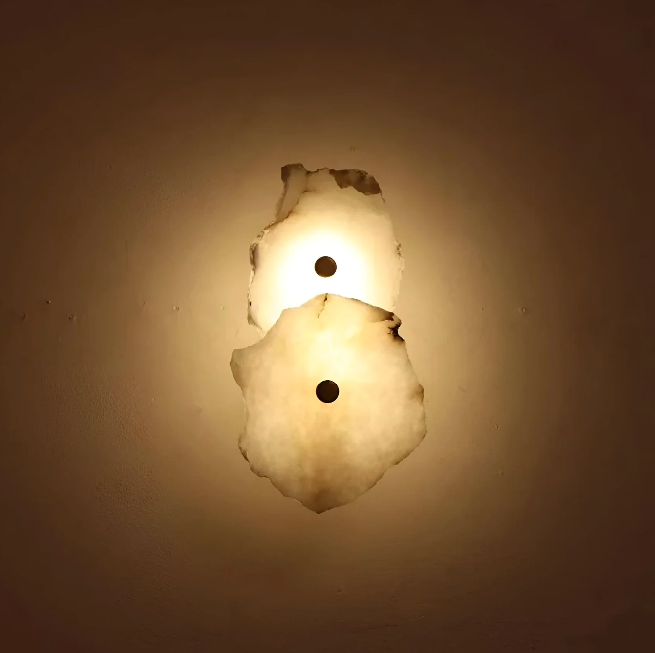 Modern LED Wall Sconce in Organic Shape – Decorative Lighting Fixture