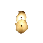 Modern LED Wall Sconce in Organic Shape – Decorative Lighting Fixture