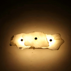 Modern LED Wall Sconce in Organic Shape – Decorative Lighting Fixture