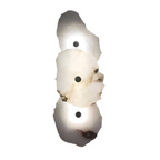 Modern LED Wall Sconce in Organic Shape – Decorative Lighting Fixture
