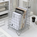 Chic Metallic Organization Basket