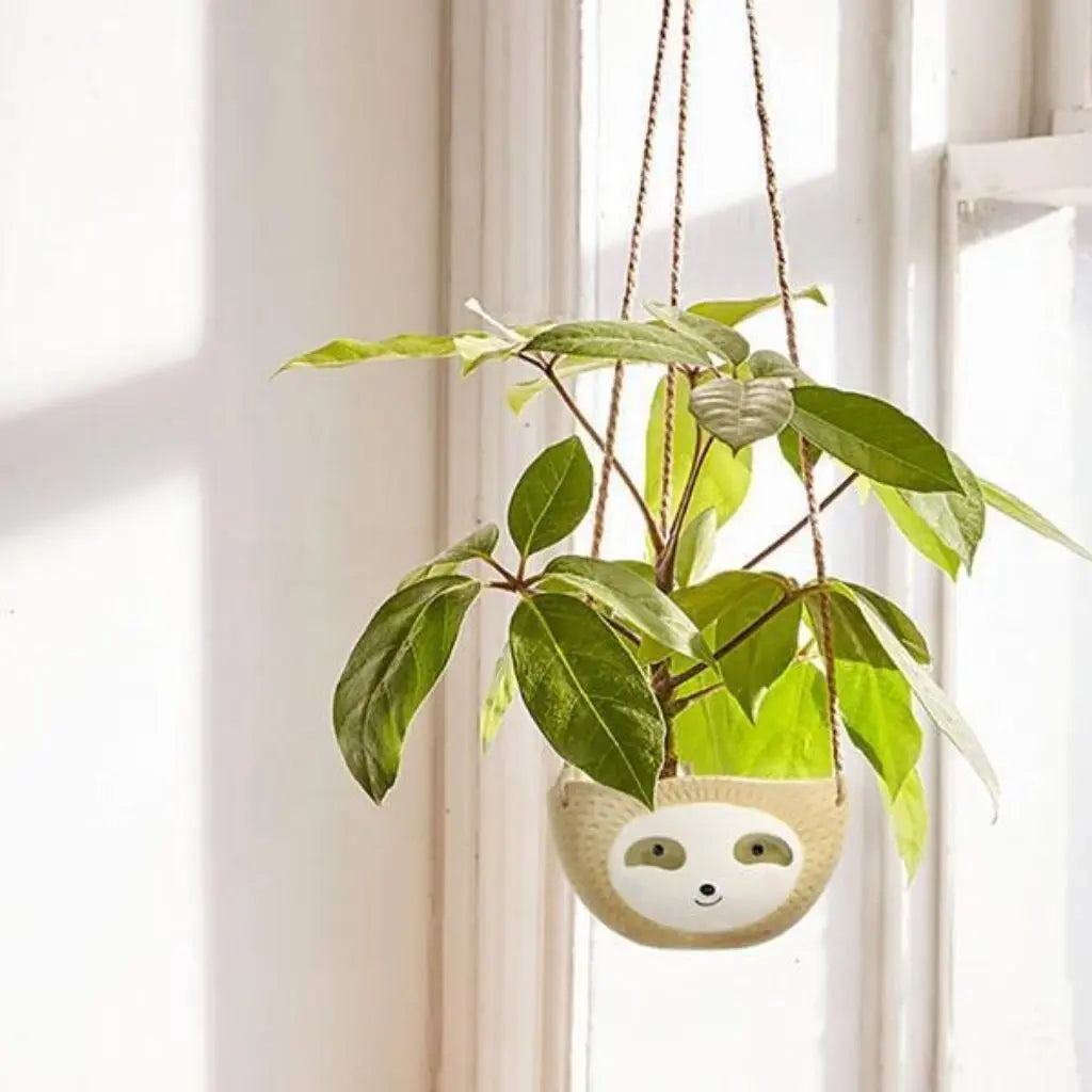 Charming Sloth-Inspired Hanging Planter for Succulents